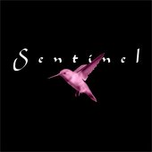 Sentinel Logo 2010