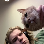 Avatar for grantpeepee