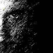 Avatar di rankine