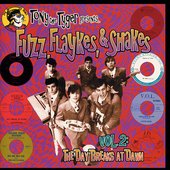 Fuzz, Flaykes & Shakes, vol. 2