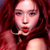 koochikoochi 的头像
