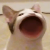 YEETyeett 的头像