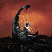 ANIMATED COVER