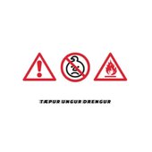 Tæpur Ungur Drengur