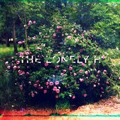 The Lonely H
