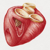 Awatar dla CardiacTasty