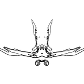 Seb10000000 的头像
