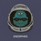 Endorphins - Single
