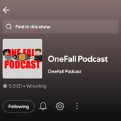 OneFall Podcast