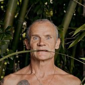 Flea