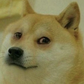 Vxmo 的头像