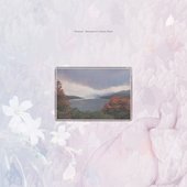 Murmurs of a Heavy Heart