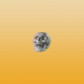 honey and skull