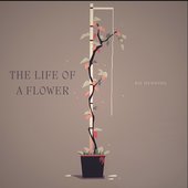 The life of a flower