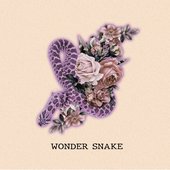 WONDER SNAKE