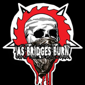 Avatar for AsBridgesBurn1
