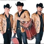 Los Alameños De La Sierra