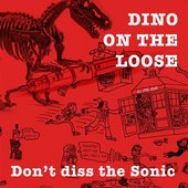 Don't Diss the Sonic