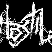 Norwegian grindcore act Hostile 2004-2007