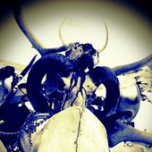 Death
