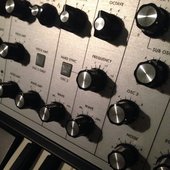 Billions Of Stars.jpg