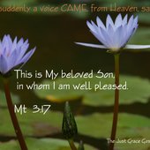 TJG Matt 3:17