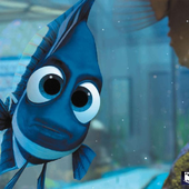 Avatar für bluefishey