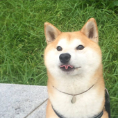 LastFM profile picture for @chris