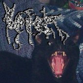 TxTxSx