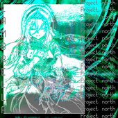 Project: North