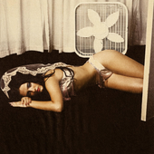 by Dana Trippe