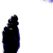 0028129560_10.jpg