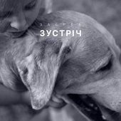 Зустріч - Single