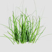 Grassgrowz 的头像