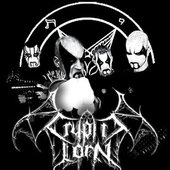 Cryptic Lorn (Bra)