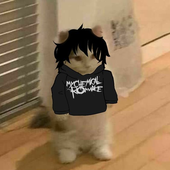 fpups さんのアバター
