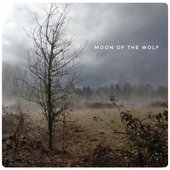 Moon of the Wolf