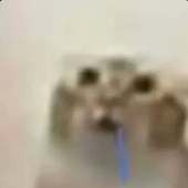 Avatar for vixieriva