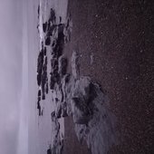 orka