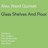 Glass Shelves and Floor