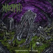 Confinement of Flesh