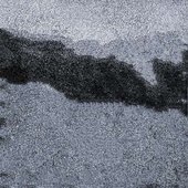 Anzga
