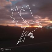 AMFLARA, vol. 1