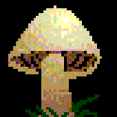 LastFM profile picture for @Jas