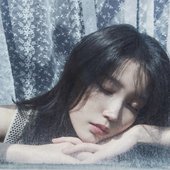 꽃갈피 셋