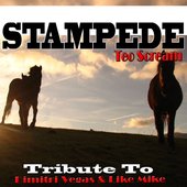 Stampede: Tribute to Dimitri Vegas & Like Mike