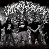 GoreSkinCoffin