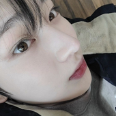 yvestigando 的头像
