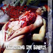 Extracting The Bowels