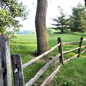 The Fence